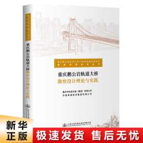 重庆鹅公岩轨道大桥勘察设计理论与实践