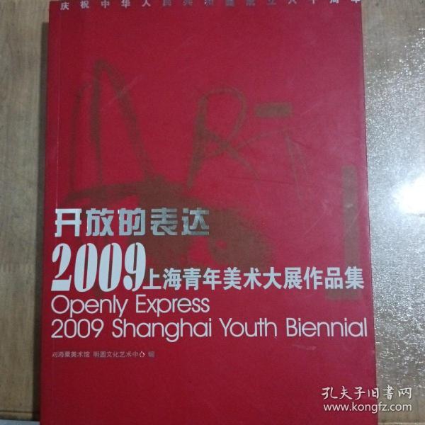 开放的表达2009上海青年美术大展作品集