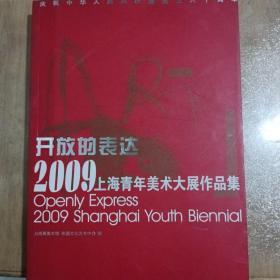 开放的表达2009上海青年美术大展作品集