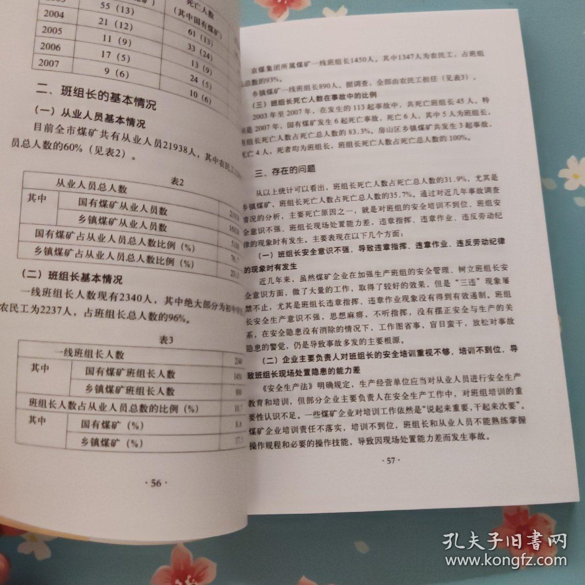 北京市安全生产发展战略研究