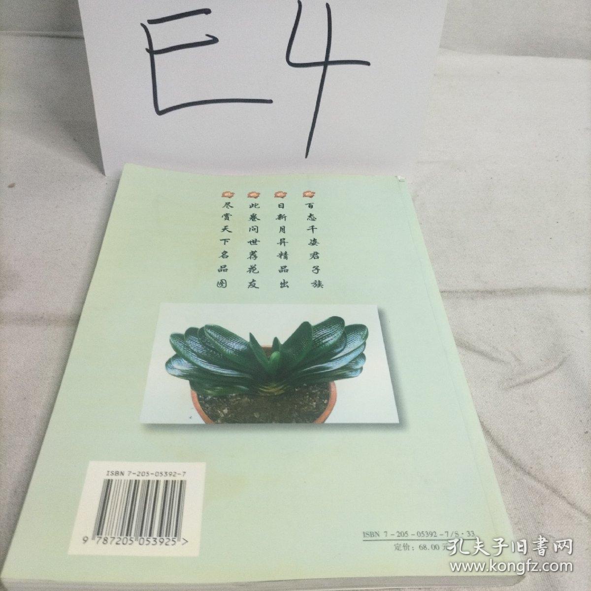 君子兰名品赏析