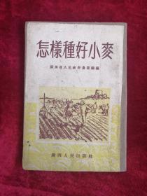 怎样种好小麦 54年1版1印 包邮挂刷