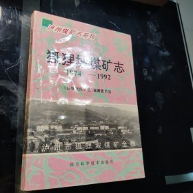 （泸州）狐狸坡煤矿志，1994年6月一版一印，印数仅530册