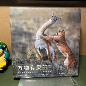 万物有灵：国际野生生物摄影年赛第55届获奖作品