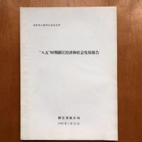 八五时期浙江经济社会发展报告