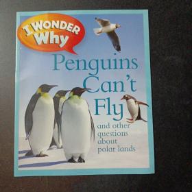 I Wonder Why，penguins can't fly——o1