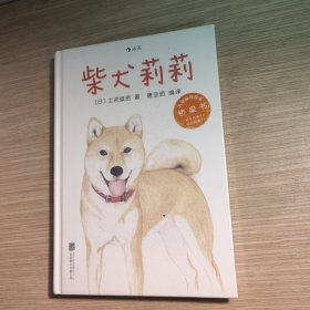 柴犬莉莉 全新