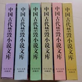 中国古代禁毁小说文库（第二辑 全六册）