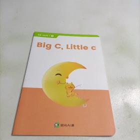 斑马AI课:big  c