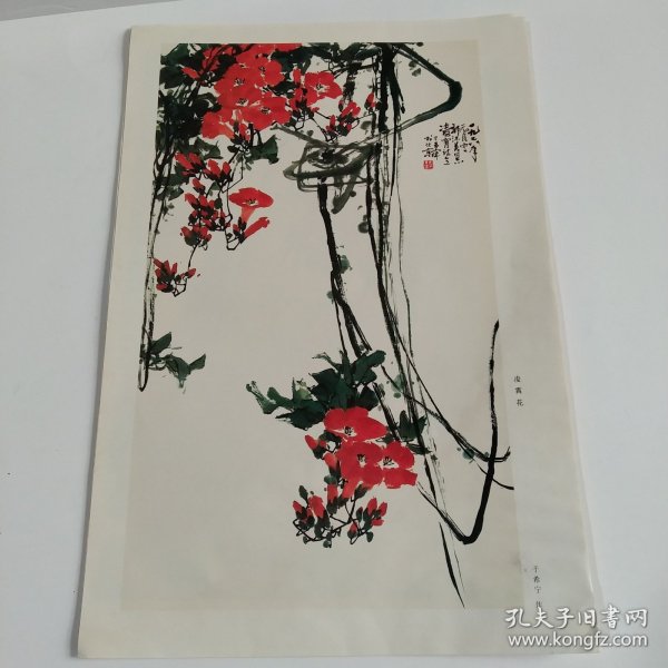 七八十年代8开老画一张印刷品，于希宁（凌霄花）