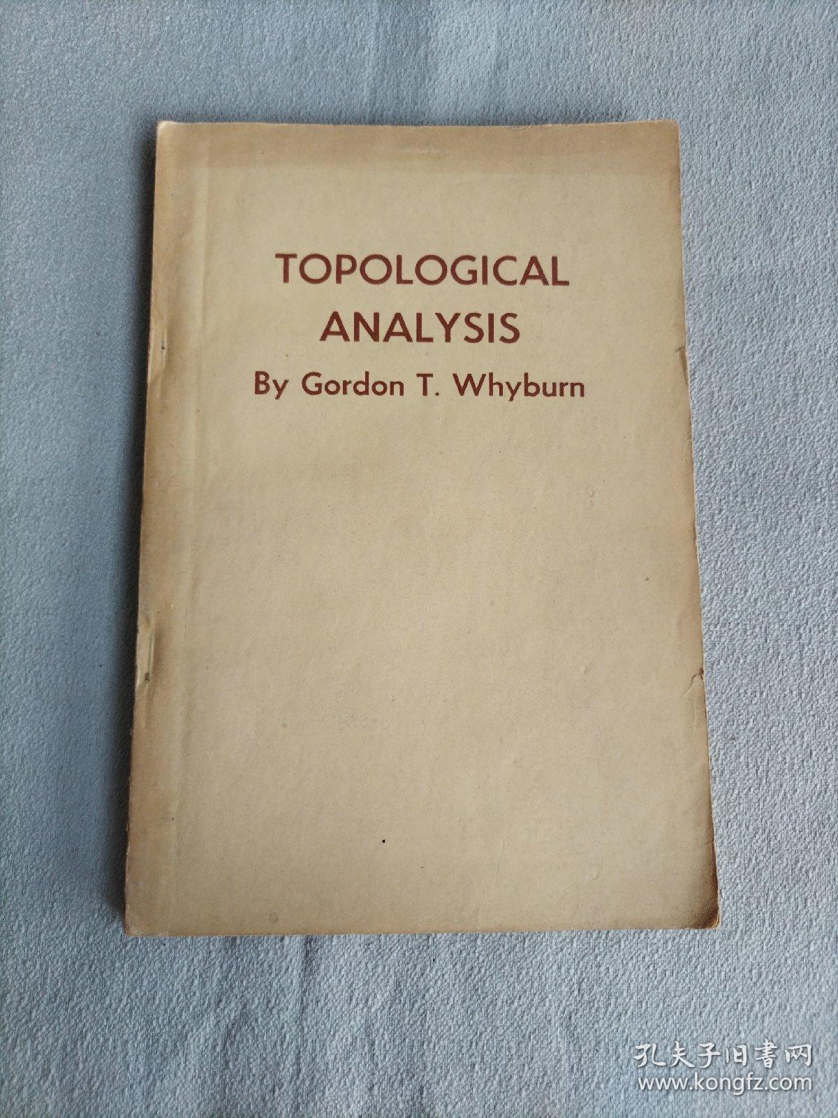 TOPOLOGICAL ANALYSIS  拓扑分析