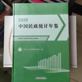 中国民政统计年鉴2020（附光盘）