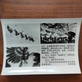 1987年，山东潍坊风筝