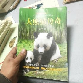 大熊猫传奇：影像青少版