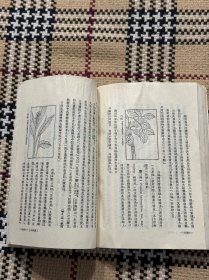 梦溪笔谈校证（下） 品相自鉴