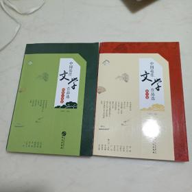 中国最佳文学作品选?短篇小说卷 散文卷（2册合售）