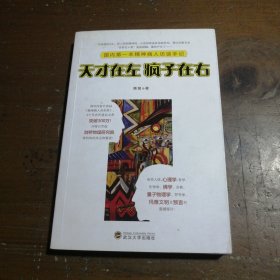 天才在左 疯子在右：国内第一本精神病人访谈手记