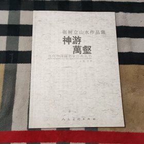 张树立山水作品集 神游万壑 当代中国画名家经典丛书