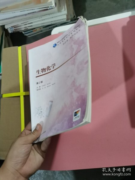生物化学(第2版/高职护理/配增值)