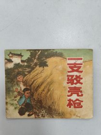 一支驳壳枪