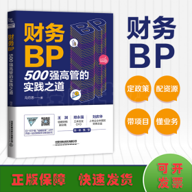 财务BP 500强高管的实践之道