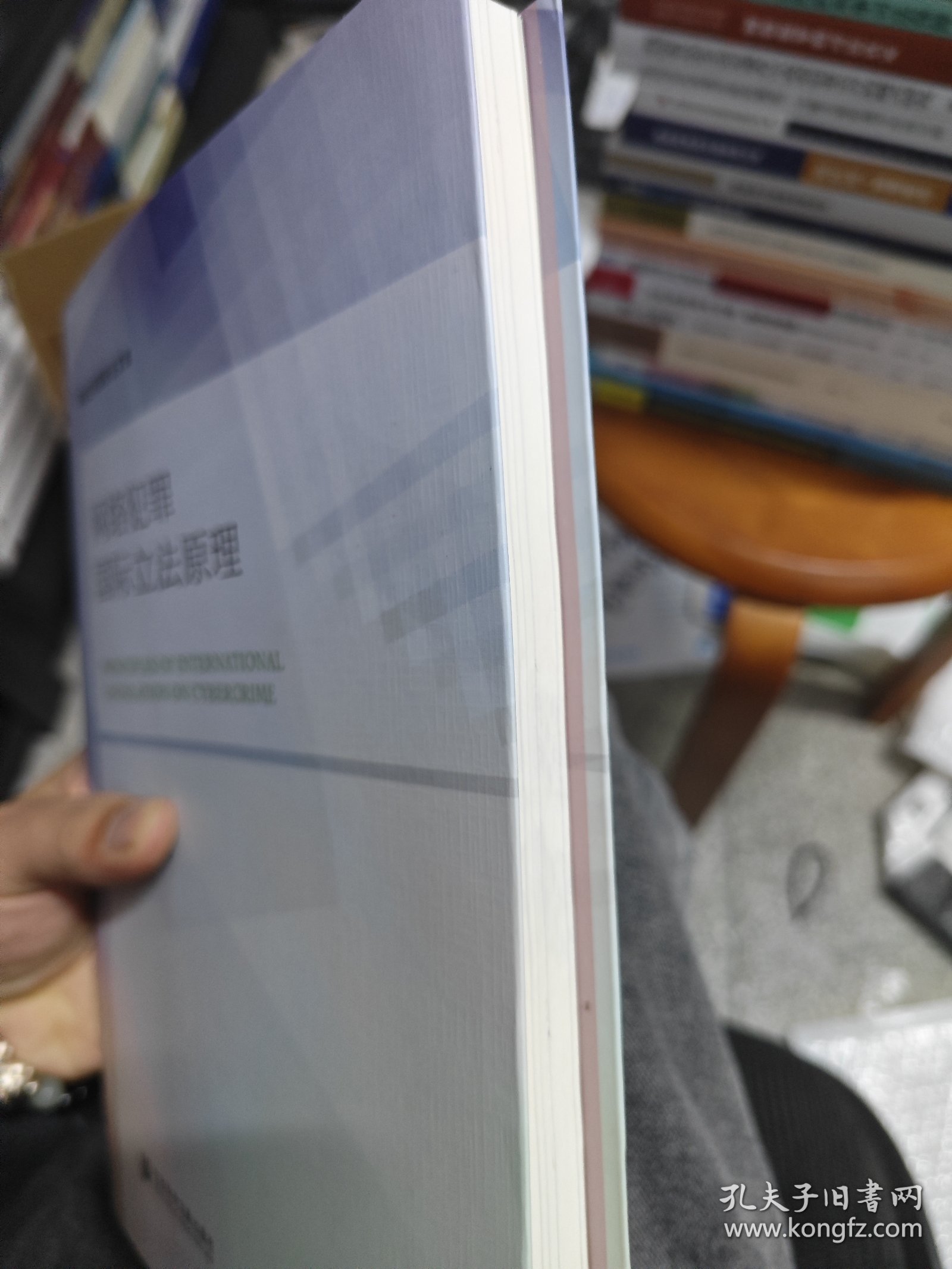 网络犯罪国际立法原理/网络空间国际法文库