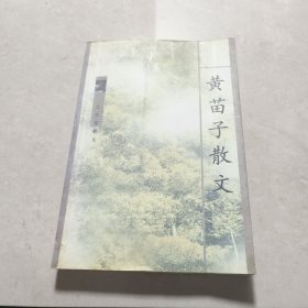 黄苗子散文