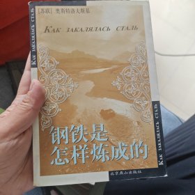 钢铁是怎样炼成的
