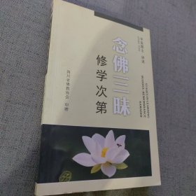 念佛三昧：迅速汇集诸佛功德的法门：高阶禅观系列