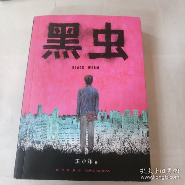 黑虫：王小洋短篇杰作集