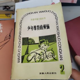 少年维特的烦恼