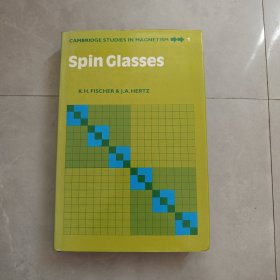 Spin Glasses