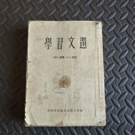 学习文选 中国小说