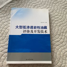 大型低渗透岩性油藏评价及开发技术