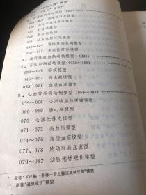 医学实验动物模型及细胞系研制与应用