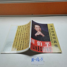 田伯平 书法诗词写真集