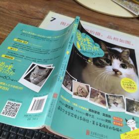 猫咪学问大：80个人类最想问的喵什么