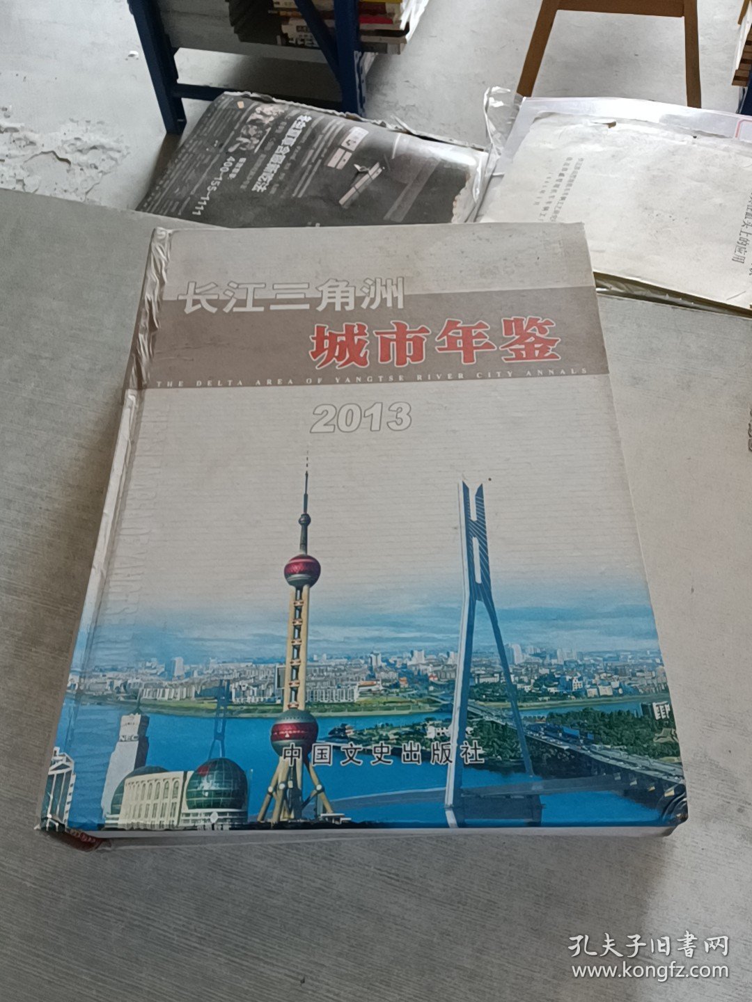长江三角洲城市年鉴. 2013