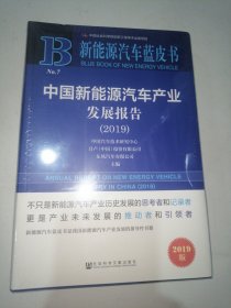 新能源汽车蓝皮书：中国新能源汽车产业发展报告（2019）