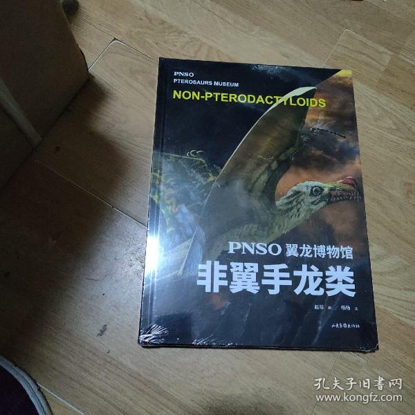 PNSO翼龙博物馆.非翼手龙类（科学艺术家赵闯大成之作，再现翼龙称霸天空的史前时代，实现纸上观展体验，让孩子把翼龙博物馆搬回家）