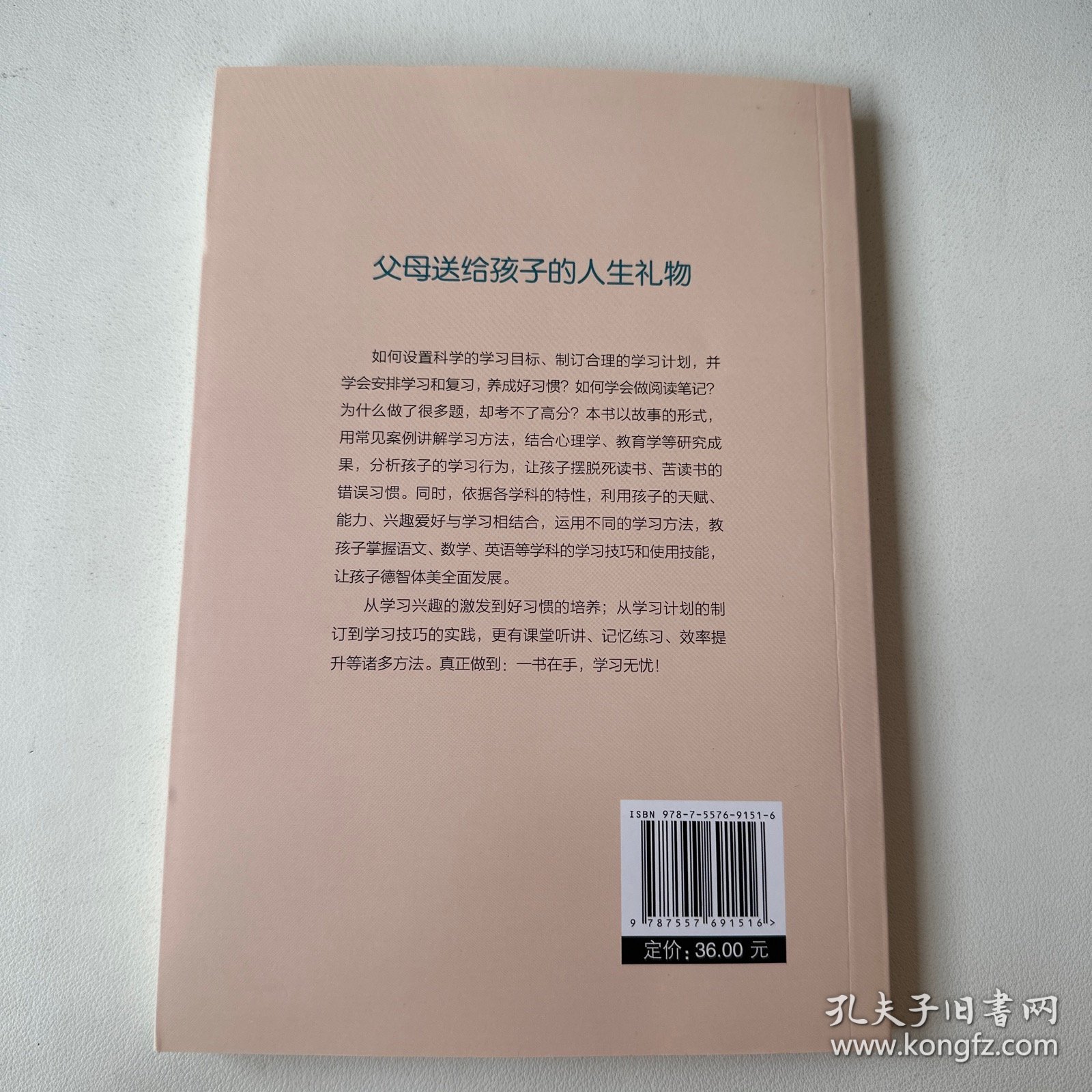 给孩子的第一本学习方法书 高效学习法 家庭教育推荐父母家长阅读育儿书籍 孩子为你自己读书 儿童初中小学家庭教育孩子的书 学习方法学习技巧