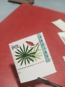 新中国邮票，T72，药用植物第二组，带边纸，原胶全新品相，实物照片。