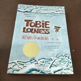 国际大奖小说：爱丽莎的眼睛（套装共2册）