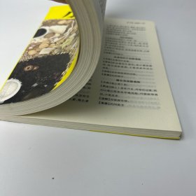 小方子治大病 中医书籍养生偏方大全民间老偏方美容养颜常见病防治 保健食疗偏方秘方大全小偏方老偏方中医健康养生保健疗法