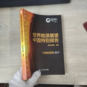 世界能源展望中国特别报告中国能源展望2017