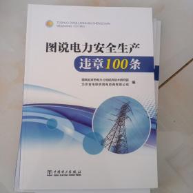 图说电力安全生产违章100条