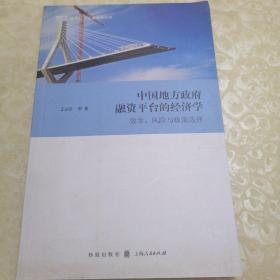 中国地方政府融资平台的经济学：效率、风险与政策选择