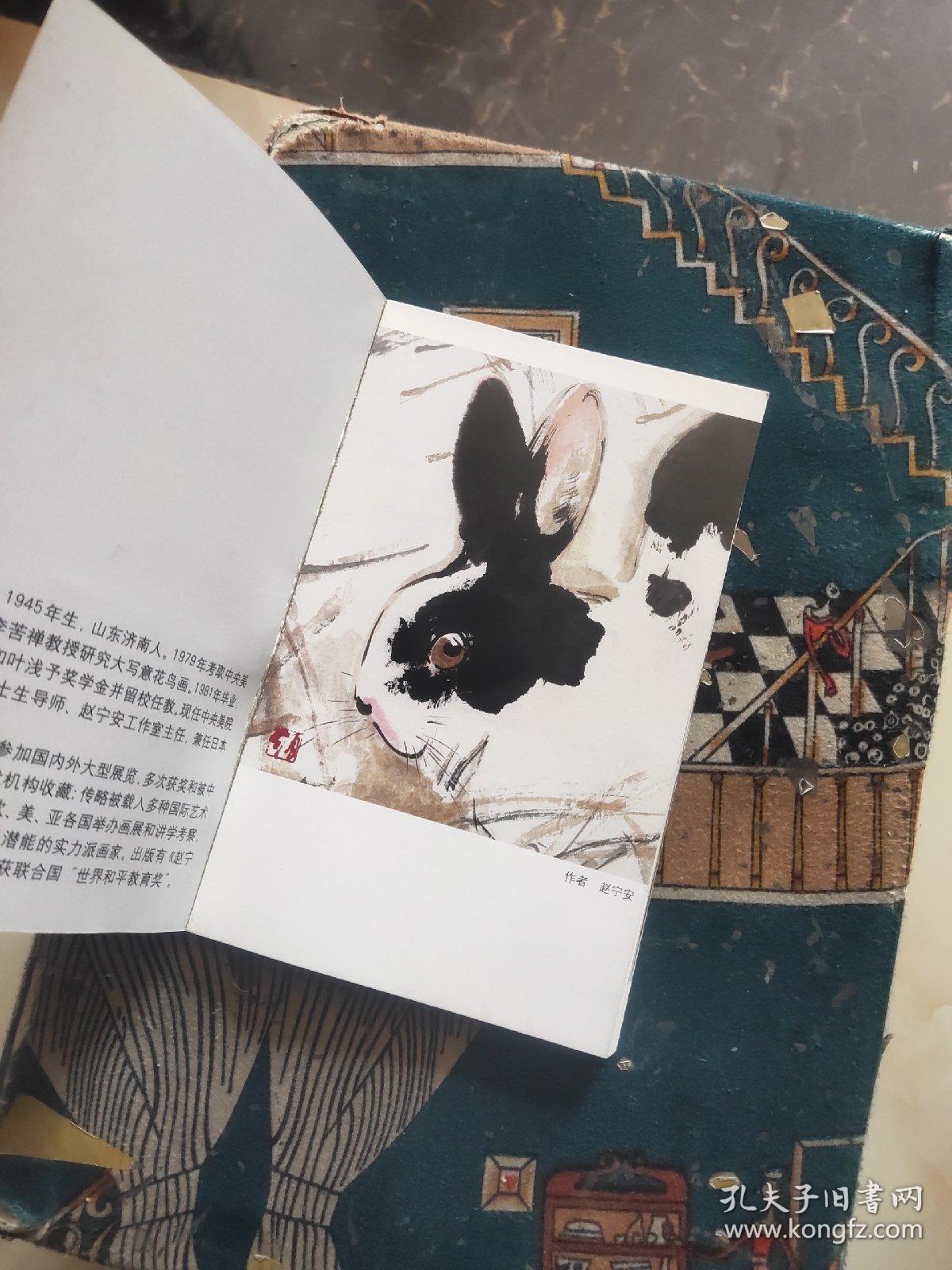 明信片：赵宁安专辑 （人物 19枚+动物 19枚）合售