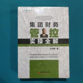 集团财务管控实操全解