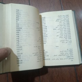 汉维统计词典